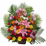 ƽʻٵ