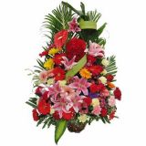 ƽʻٵ