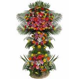 ƽʻٵ